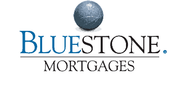 Bluestone Logo in Panel